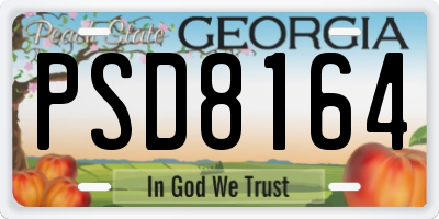 GA license plate PSD8164