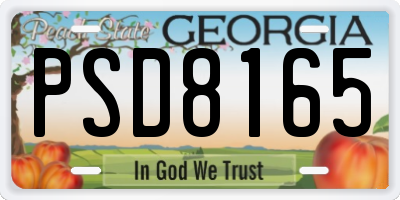 GA license plate PSD8165