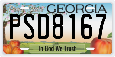 GA license plate PSD8167