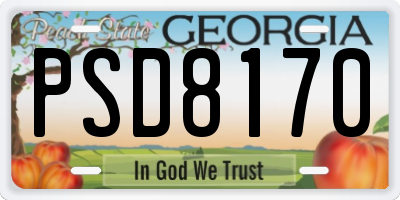 GA license plate PSD8170