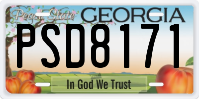 GA license plate PSD8171
