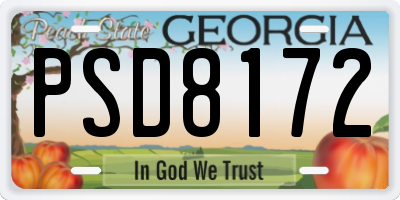GA license plate PSD8172