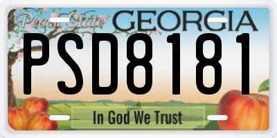 GA license plate PSD8181