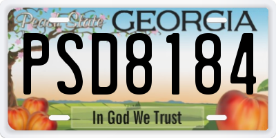 GA license plate PSD8184