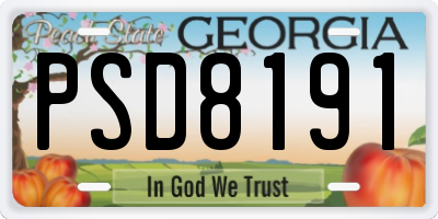 GA license plate PSD8191