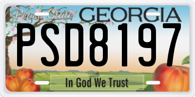 GA license plate PSD8197