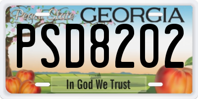 GA license plate PSD8202