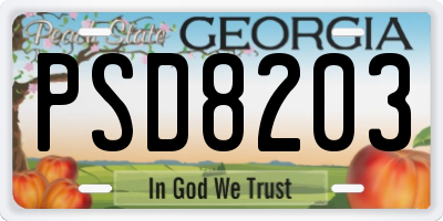 GA license plate PSD8203