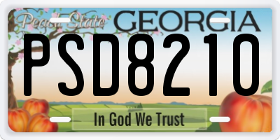 GA license plate PSD8210