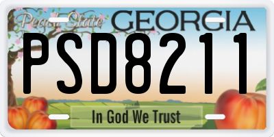 GA license plate PSD8211