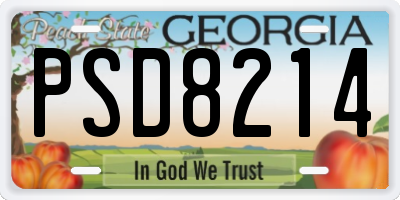 GA license plate PSD8214