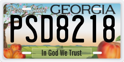 GA license plate PSD8218
