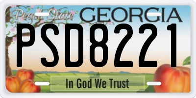 GA license plate PSD8221