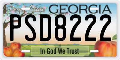 GA license plate PSD8222