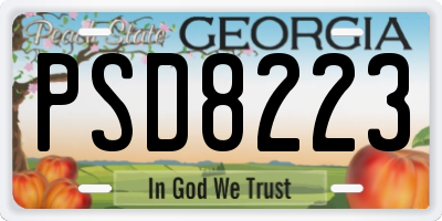 GA license plate PSD8223