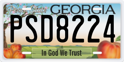 GA license plate PSD8224