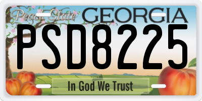 GA license plate PSD8225
