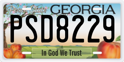 GA license plate PSD8229