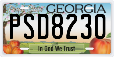 GA license plate PSD8230