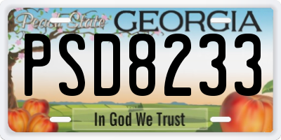 GA license plate PSD8233