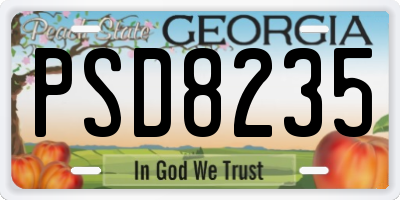 GA license plate PSD8235