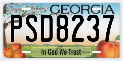 GA license plate PSD8237