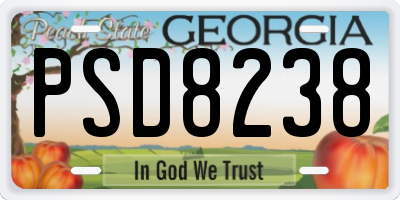 GA license plate PSD8238