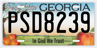 GA license plate PSD8239