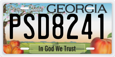 GA license plate PSD8241