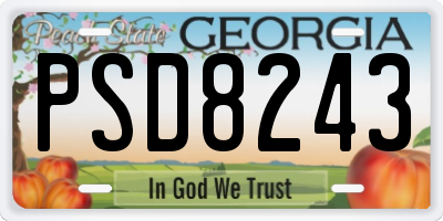 GA license plate PSD8243