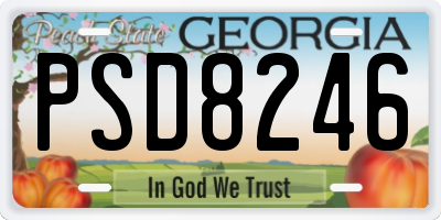 GA license plate PSD8246