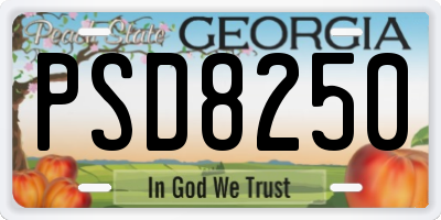 GA license plate PSD8250