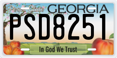 GA license plate PSD8251