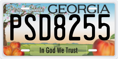 GA license plate PSD8255