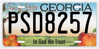GA license plate PSD8257