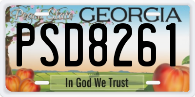 GA license plate PSD8261
