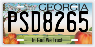 GA license plate PSD8265