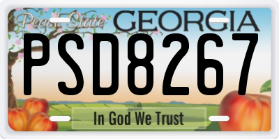 GA license plate PSD8267
