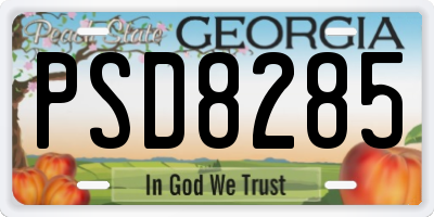 GA license plate PSD8285