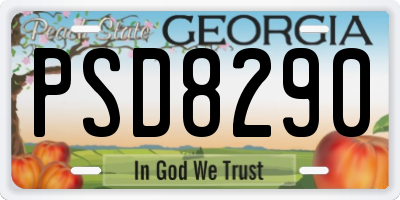 GA license plate PSD8290
