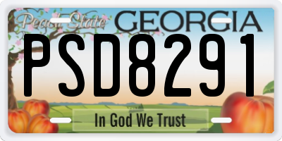 GA license plate PSD8291