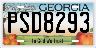 GA license plate PSD8293