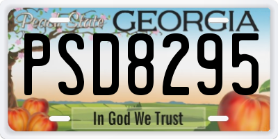 GA license plate PSD8295