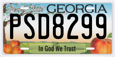 GA license plate PSD8299