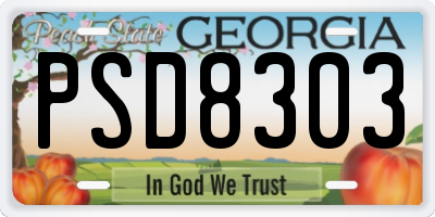 GA license plate PSD8303