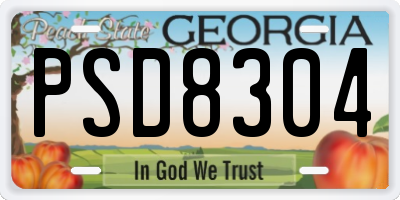 GA license plate PSD8304