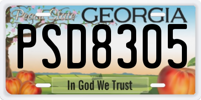 GA license plate PSD8305
