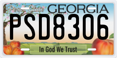 GA license plate PSD8306