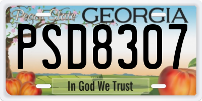 GA license plate PSD8307
