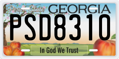 GA license plate PSD8310